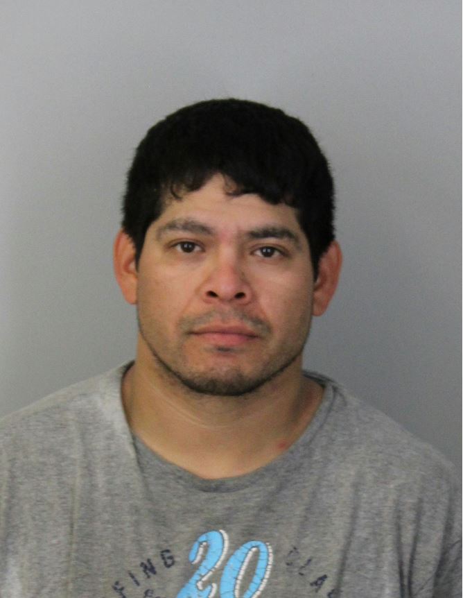 Escapee arrested in field north of St. James News, Sports, Jobs The